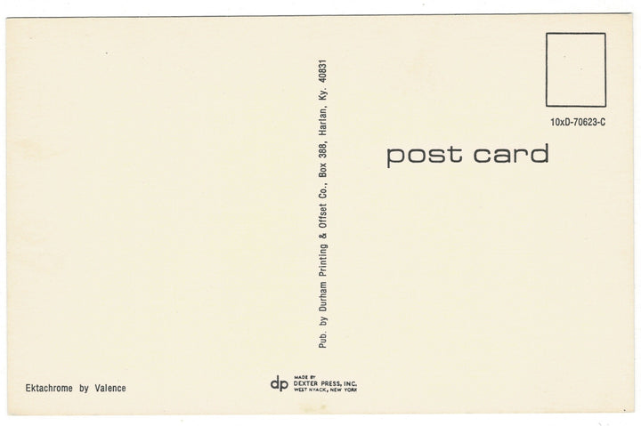 1971 Smelly Welcome at the Campground Funny Vintage Skunk Postcard, back view.