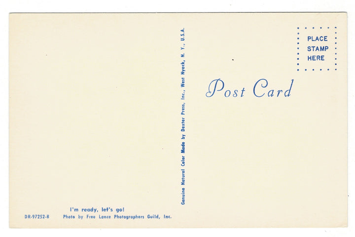 1964 Poodle Puppy in a Wicker Basket Postcard