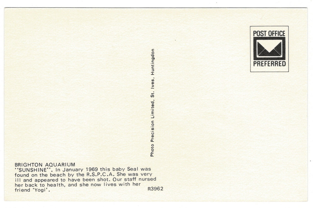 1969 Sunshine of Brighton Seal, Brighton Aquarium Vintage Postcard, back view.