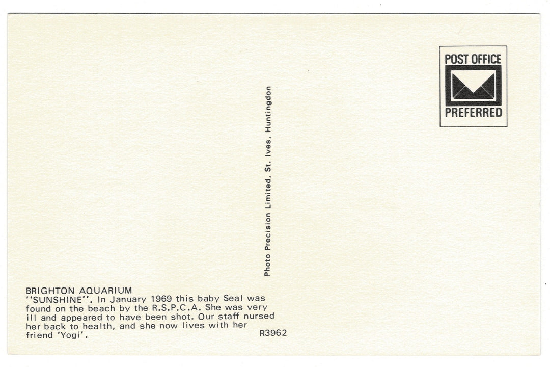 1969 Sunshine of Brighton Seal, Brighton Aquarium Vintage Postcard, back view.