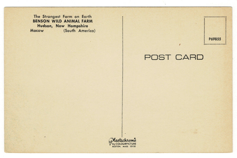 Back of postcard.