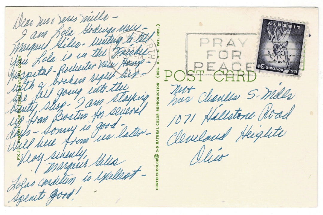 1961 Florida Seahorses Vintage Postcard, back view.