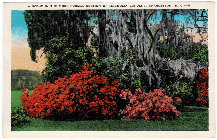 1920s Magnolia Gardens Charleston South Carolina Vintage Postcard.