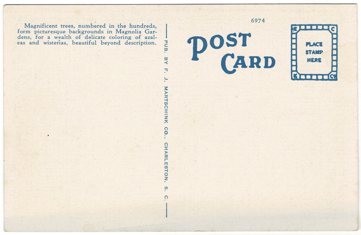 1920s Magnolia Gardens Charleston South Carolina Vintage Postcard, back view.
