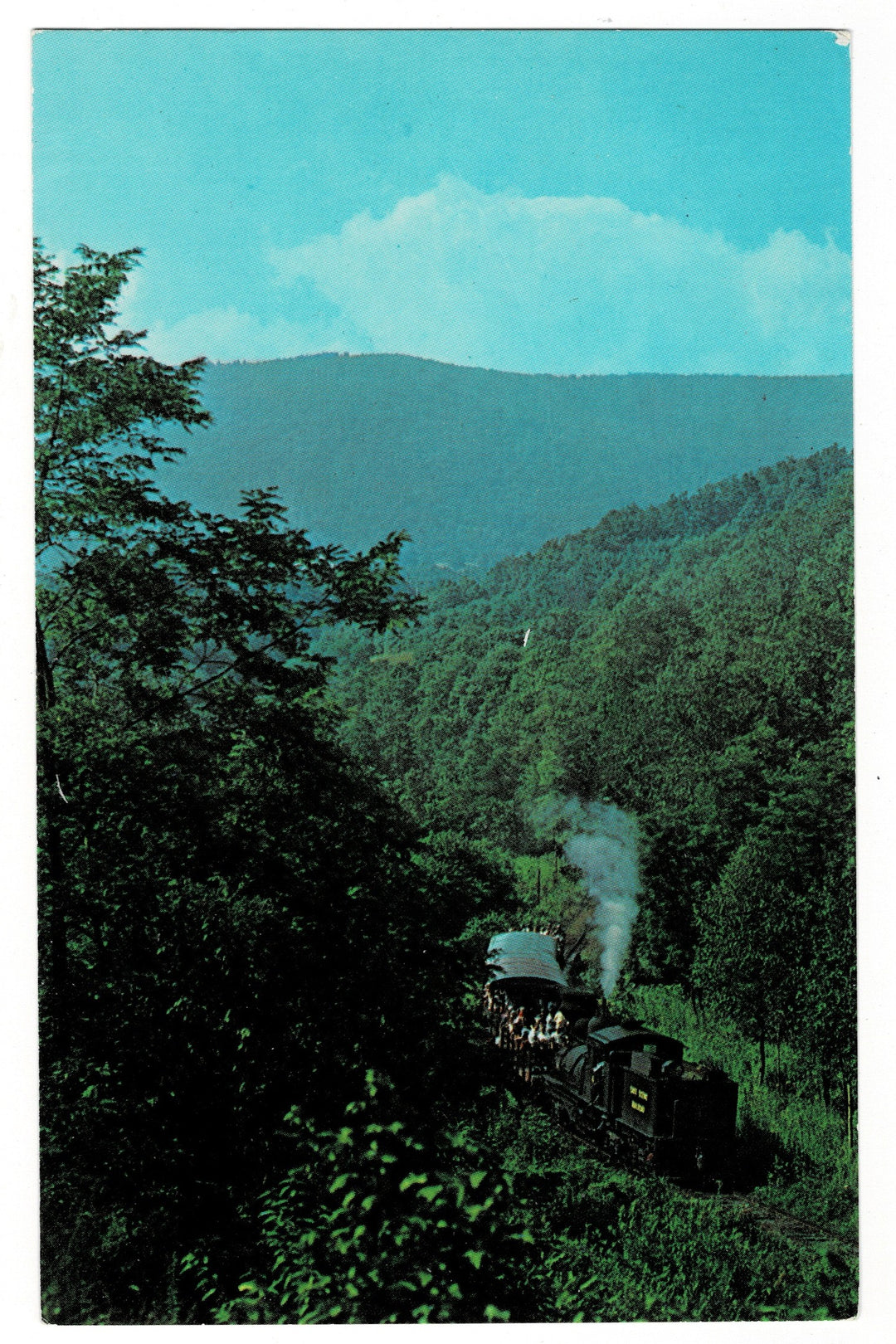 1960s Cass Scenic Railroad Steam Engine West Virginia Vintage Postcard.