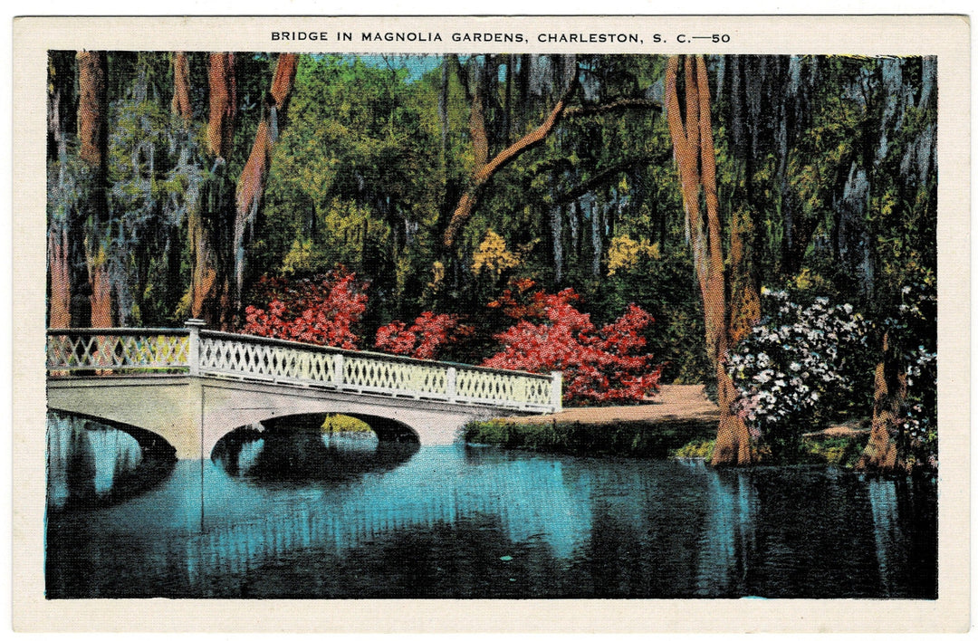 1920s Bridge at Magnolia Gardens Charleston SC Vintage Postcard.