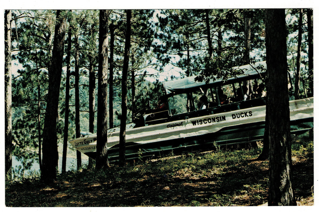 Original Wisconsin Ducks, Suicide Hill in the Dells Vintage Postcard.