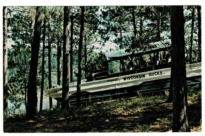 Original Wisconsin Ducks, Suicide Hill in the Dells Vintage Postcard.