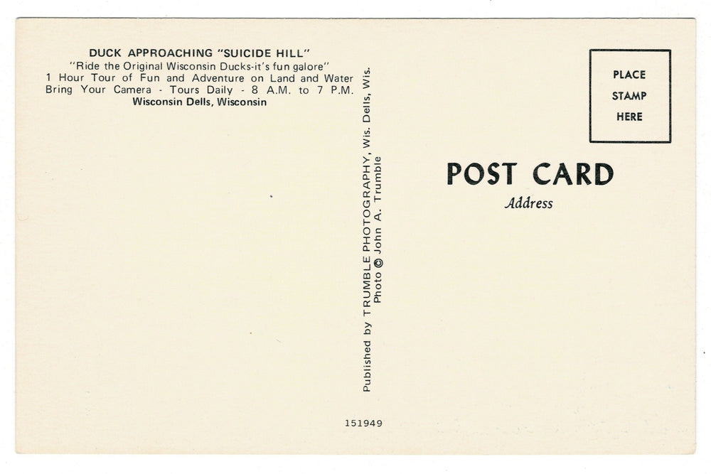 Original Wisconsin Ducks, Suicide Hill in the Dells Vintage Postcard, back view.