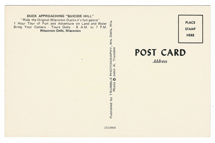 Original Wisconsin Ducks, Suicide Hill in the Dells Vintage Postcard, back view.