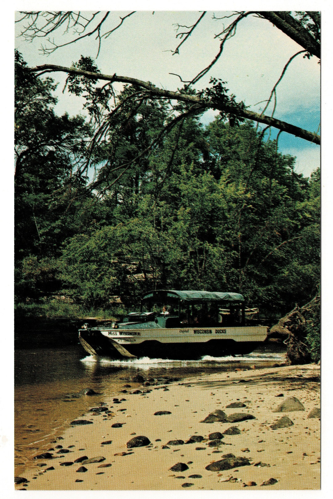 Miss Wisconsin Duck on Dell Creek, The Dells Vintage Postcard.