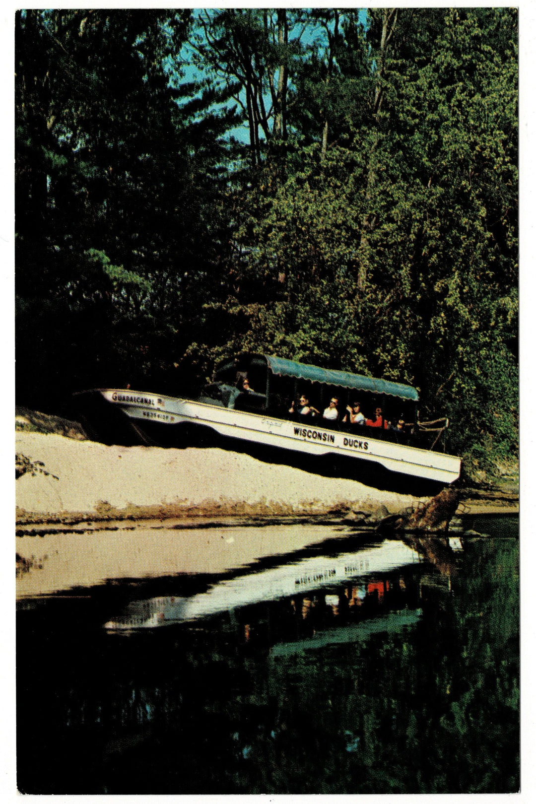 1960s WW2 Guabaecanal Duck, Wisconsin Dells Vintage Postcard.