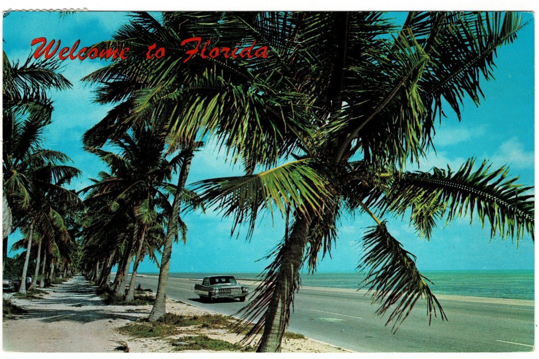 1966 Classic Car Along Palm-Lined Coast, Florida Vintage Postcard.