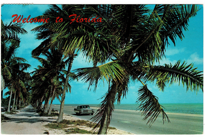 1966 Classic Car Along Palm-Lined Coast, Florida Vintage Postcard.
