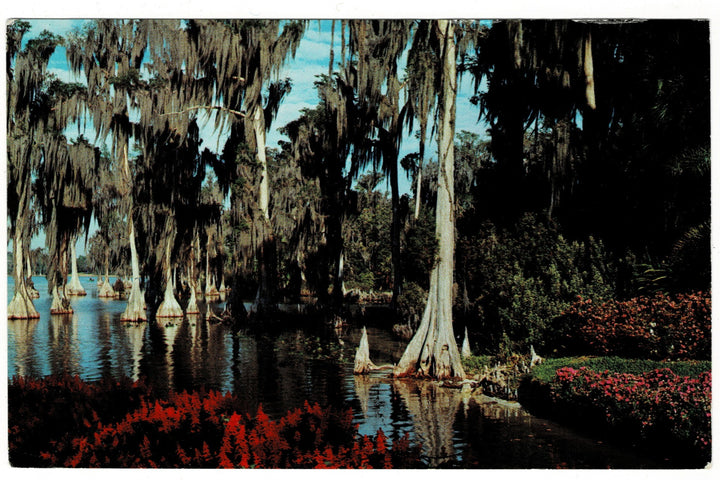 1967 Lake Eloise at Cypress Gardens, Florida Vintage Postcard.