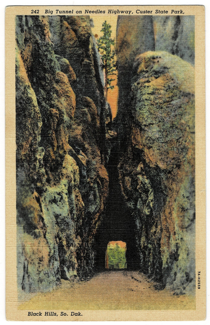  Vintage Postcard.
