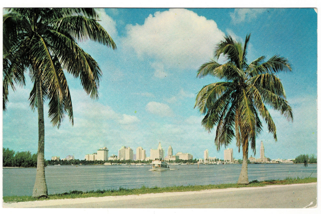 1950s Miami Skyline and Biscayne Bay, Florida postcard.