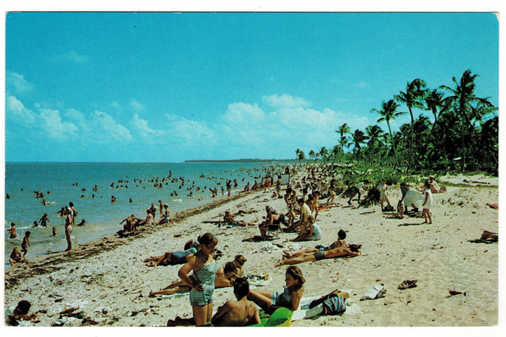 1959 Crandon Park Beach Scene, Key Biscayne, Florida Vintage Postcard.