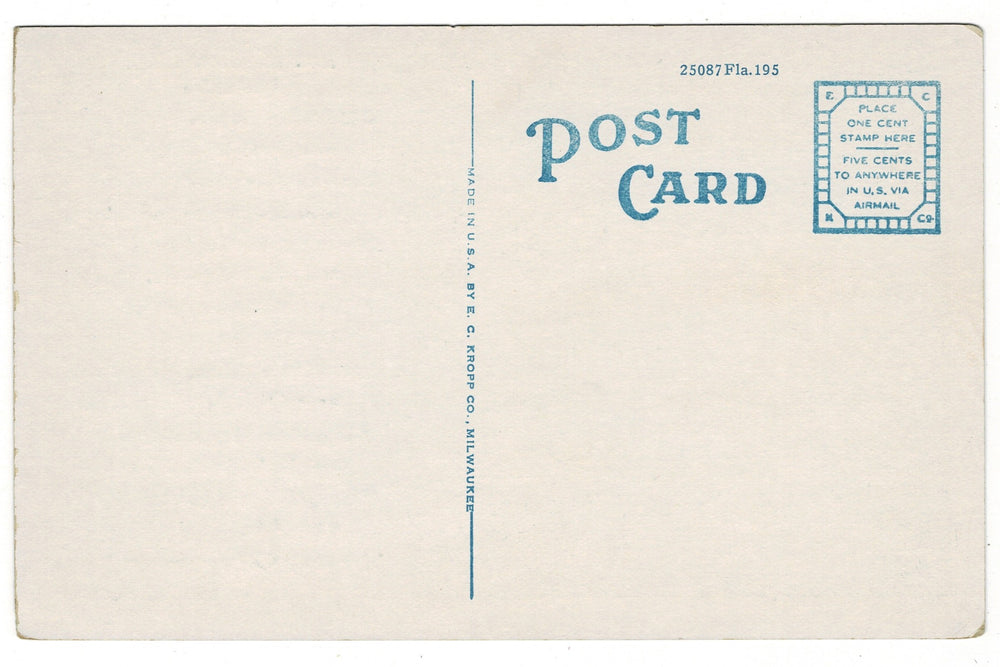 1930 Spanish Moss Royal Arch Oak Ormond Beach Florida Vintage Postcard.