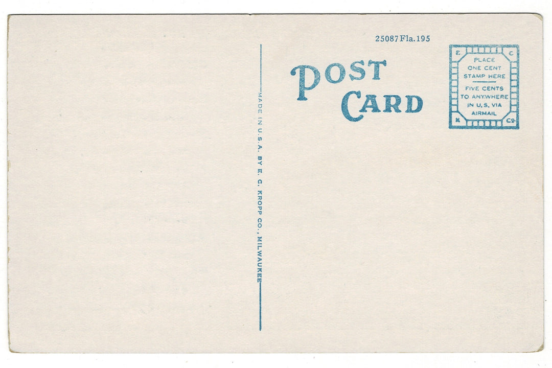 1930 Spanish Moss Royal Arch Oak Ormond Beach Florida Vintage Postcard.