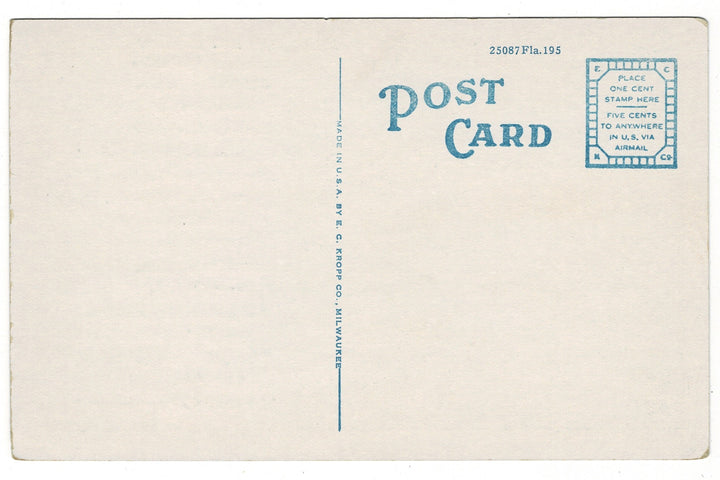 1930 Spanish Moss Royal Arch Oak Ormond Beach Florida Vintage Postcard.