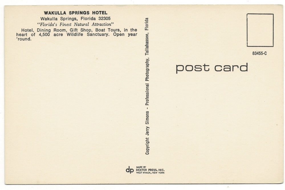 1970s Cypress Reflections at Wakulla Springs, Florida Vintage Postcard.
