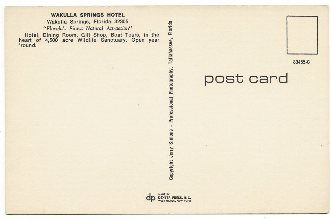 1970s Cypress Reflections at Wakulla Springs, Florida Vintage Postcard.