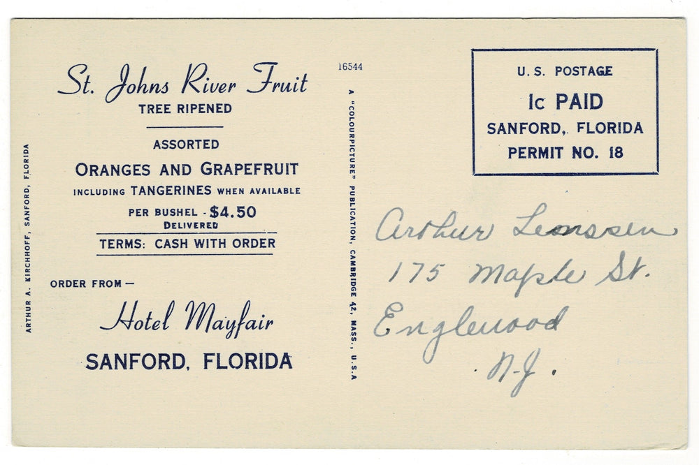 Vintage St. Johns River Fruit advertisement with handwritten address on a postcard.