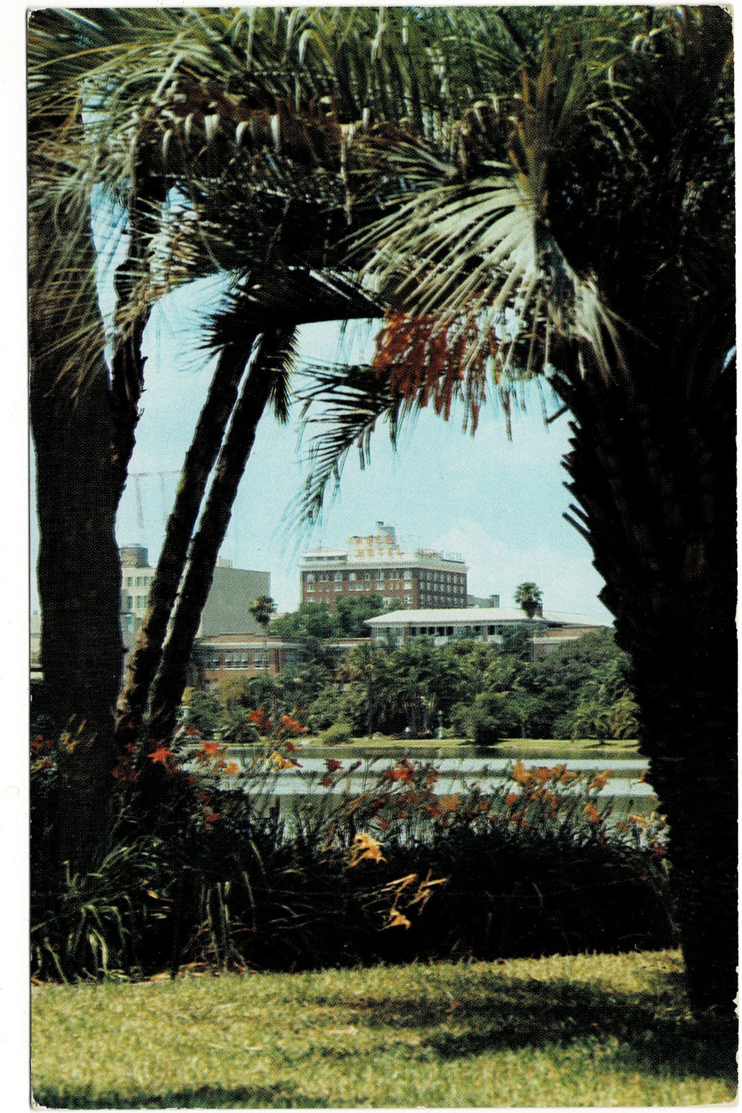 1957 Cherry Plaza Hotel Overlooking Lake Eola Orlando Vintage Postcard.