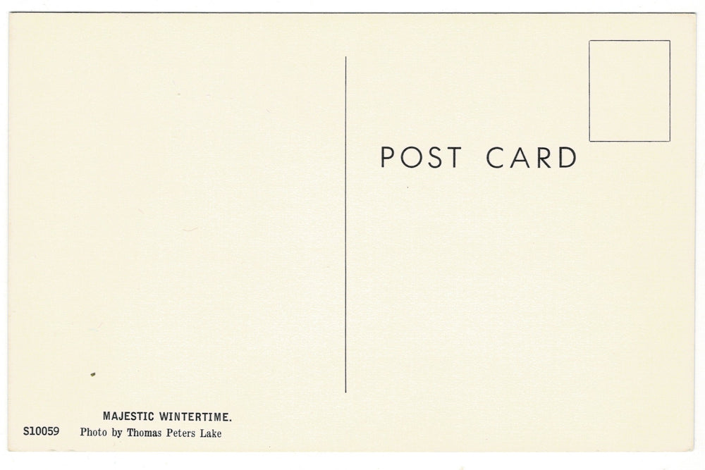 1960 Wintery Creek Distant Bridge Kingston Wisconsin Vintage Postcard.