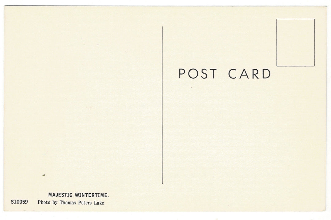 1960 Wintery Creek Distant Bridge Kingston Wisconsin Vintage Postcard.