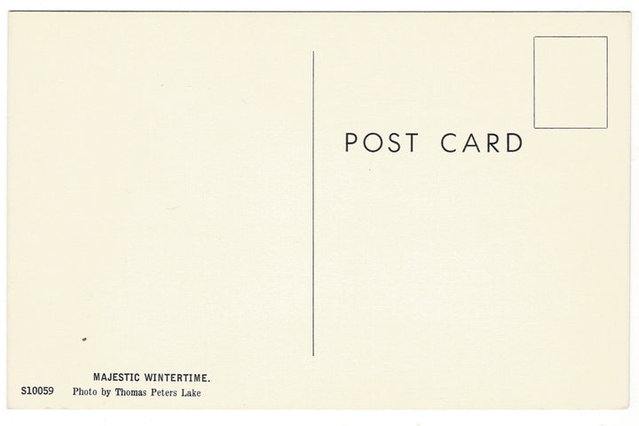 1960 Wintery Creek Distant Bridge Kingston Wisconsin Vintage Postcard.