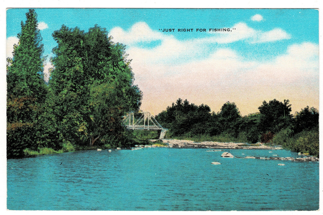  1940s Wisconsin River Fishing Spot Vintage Postcard.