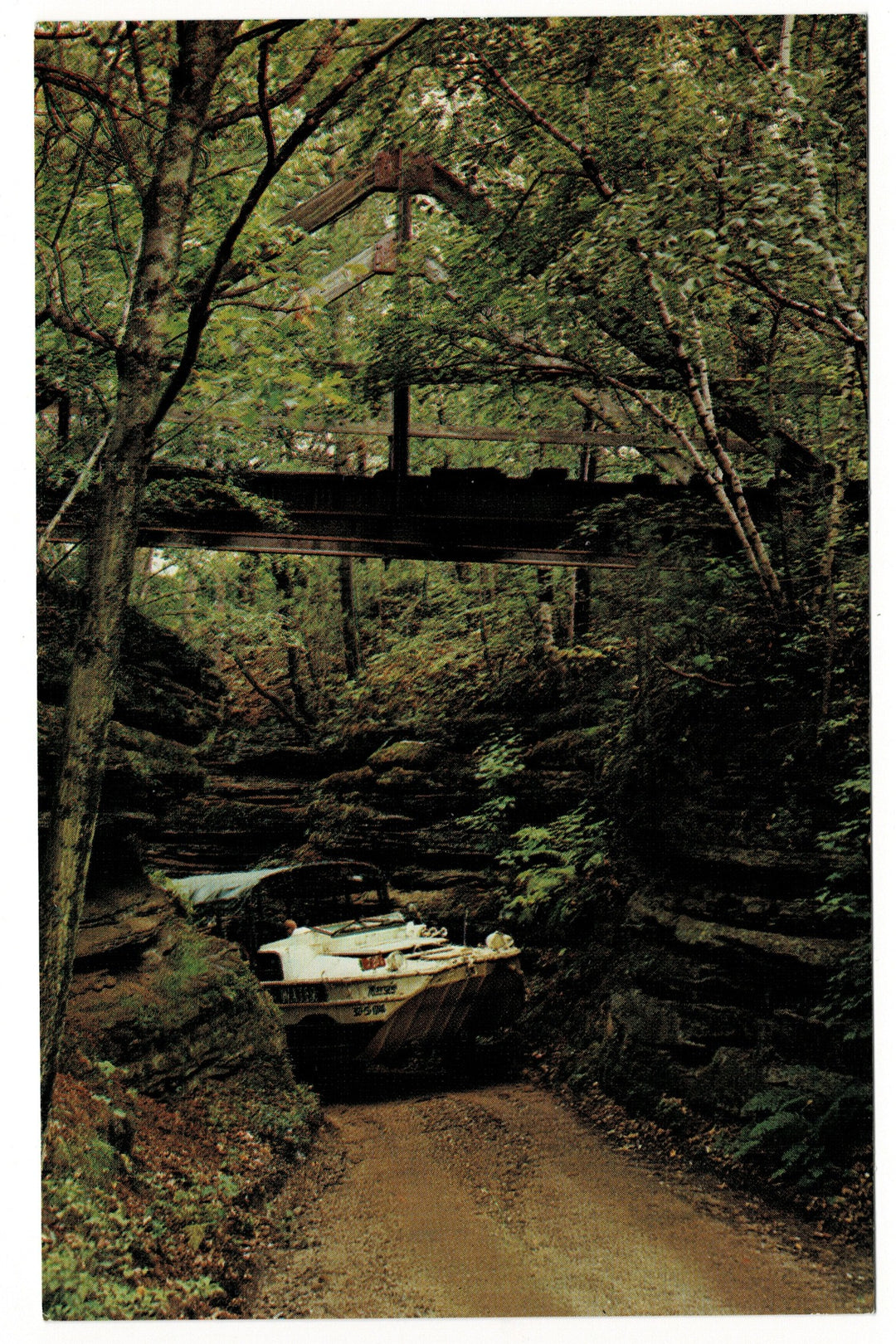 1960s Duck Squeezes Through Red Bird Gorge, Wisconsin Dells postcard.