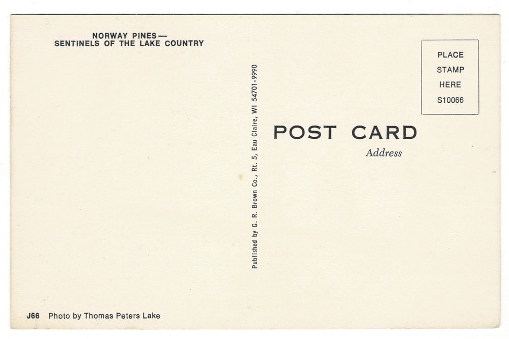  1980s Norway Pines of the Lake Country, Wisconsin Vintage Postcard.