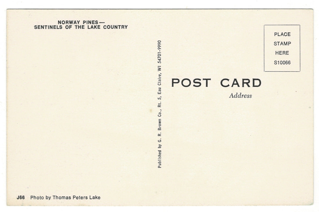 1980s Norway Pines of the Lake Country, Wisconsin Vintage Postcard.