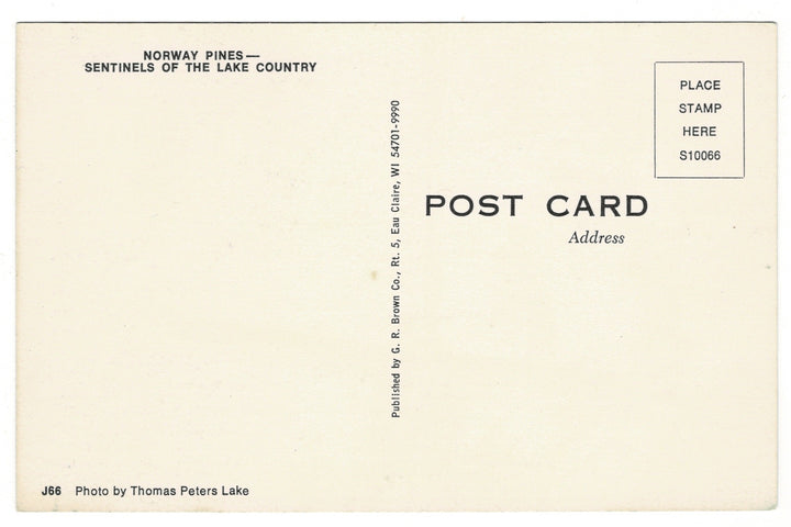  1980s Norway Pines of the Lake Country, Wisconsin Vintage Postcard.