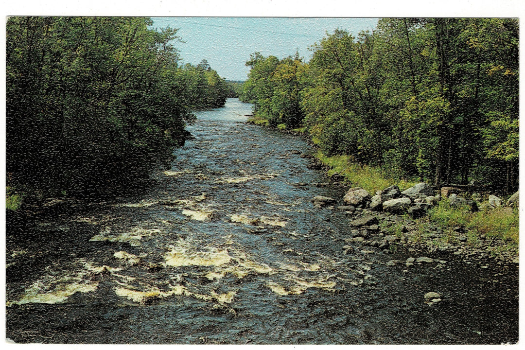 1980s Black River Falls Wisconsin Vintage Postcard.