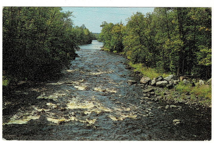 1980s Black River Falls Wisconsin Vintage Postcard.