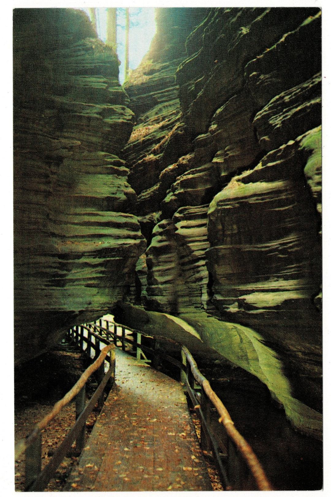  1965 Spooky Lane, Witches Gulch in Wisconsin Dells Vintage Postcard.