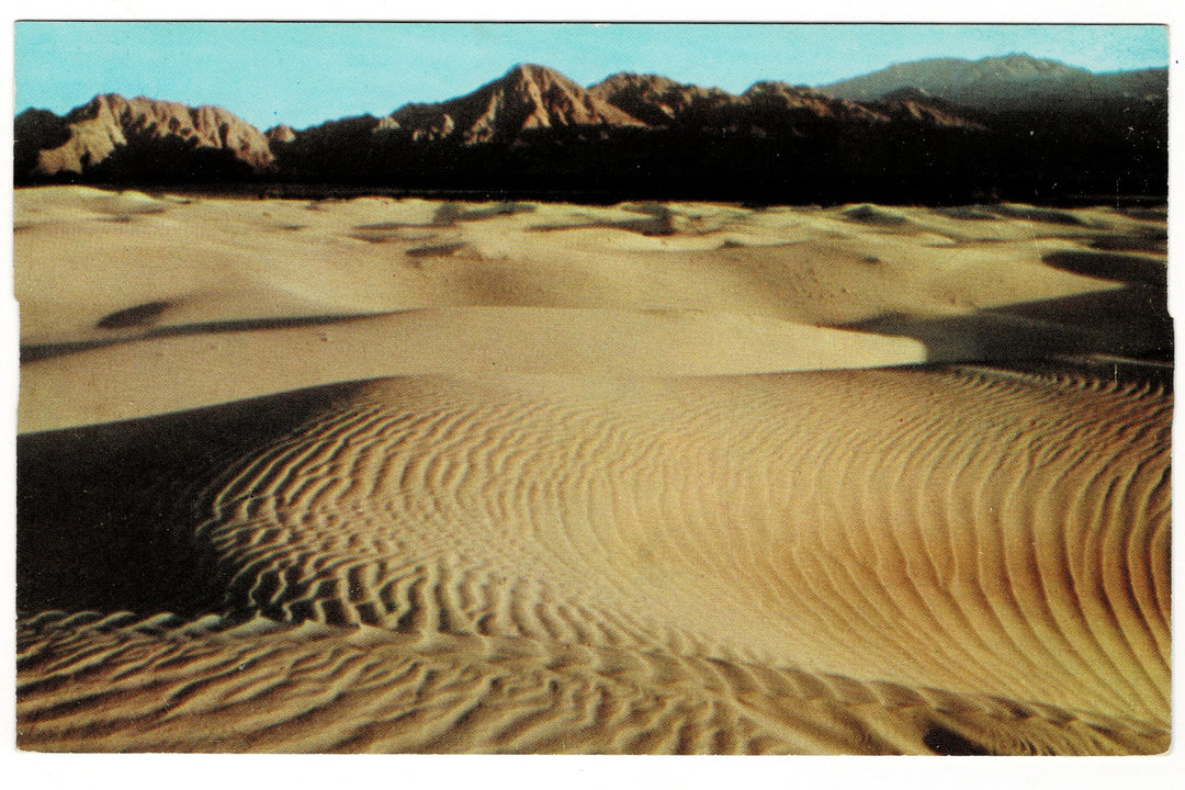 1959 Desert Sand Dunes, Palm Springs, California Vintage Postcard.