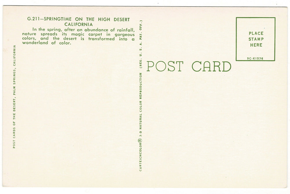 1959 Springtime High Desert Palm Springs California Vintage Postcard.