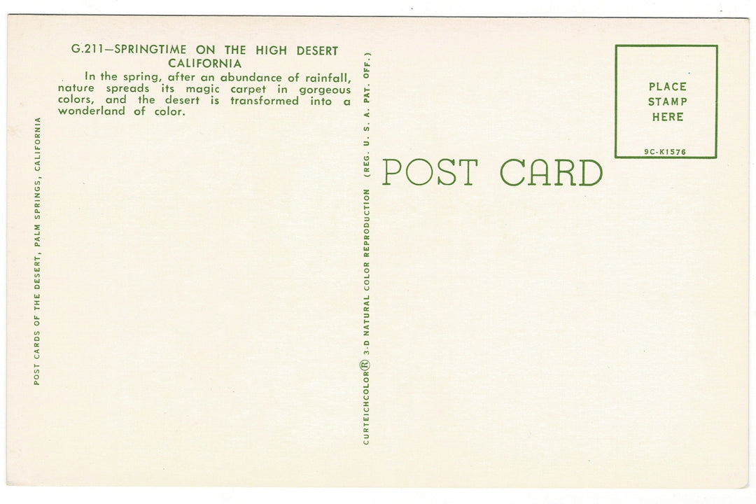 1959 Springtime High Desert Palm Springs California Vintage Postcard.