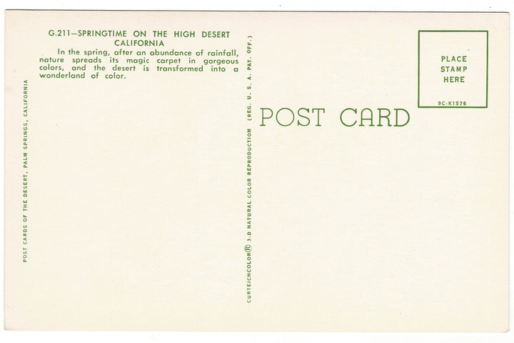 1959 Springtime High Desert Palm Springs California Vintage Postcard.