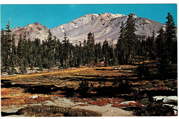 1959 Mount Shasta Southern Flank from Panther Meadows CA Vtg Postcard.