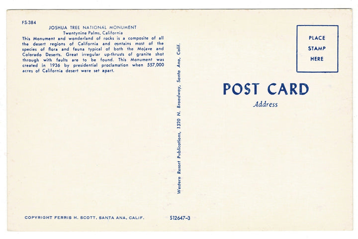1950s Joshua Tree Nat'l Monument Twentynine Palms CA Vintage Postcard.