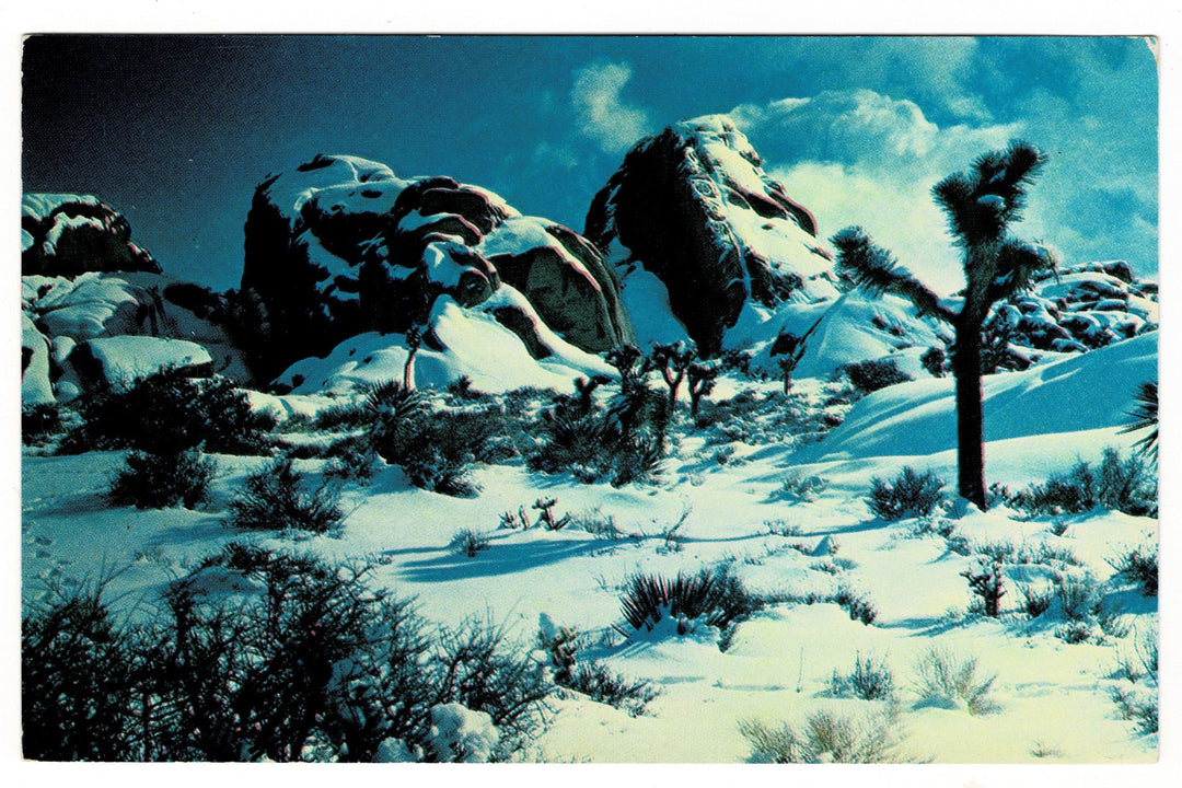 Snow-covered desert landscape with Joshua trees and rocky outcrops, 1950s The High Desert in Winter, California Vintage Postcard.