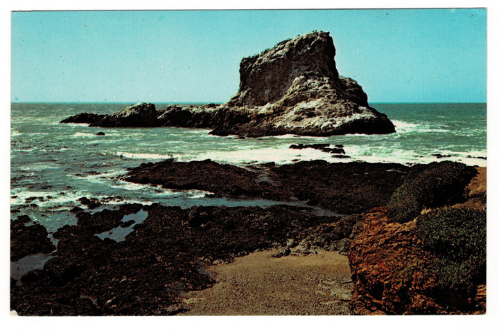 1960s Seal Rock Piedras Blancas San Simeon California Vintage Postcard.