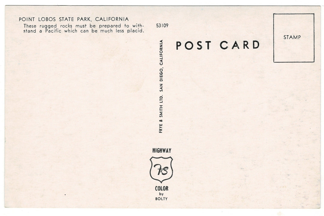 1950s Rugged Pacific Coastline, Point Lobos State Park CA Vtg Postcard.