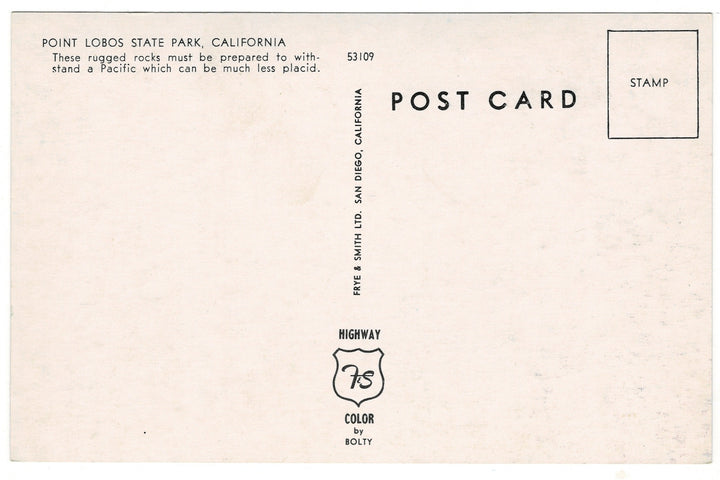 1950s Rugged Pacific Coastline, Point Lobos State Park CA Vtg Postcard.